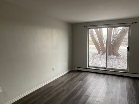 Two Bedroom Apartment - Photo 4