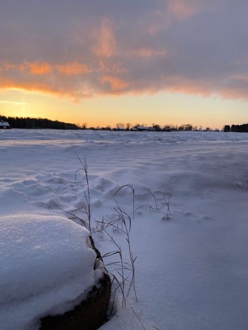 Västergården, Nossebro - Photo 3
