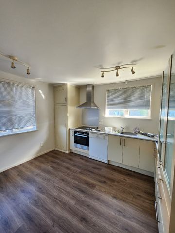 Tidy in Waitaua - Photo 3