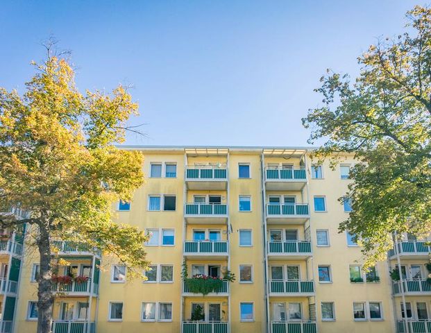 Helle 4-Raum-Wohnung auf dem Kaßberg - Foto 1