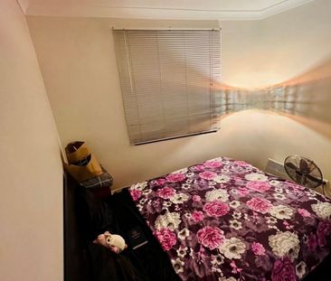 Chippendale - Photo 6