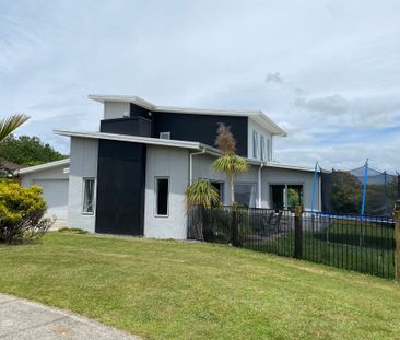 GREAT FAMILY HOME IN OMOKOROA - Photo 6