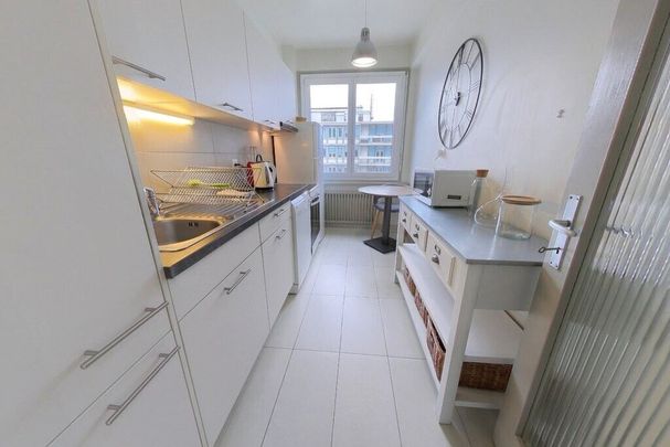 Splendide logement au coeur des Eaux-Vives avec vue sur le Jet d'eau - Foto 1