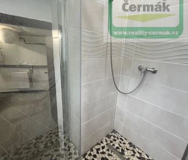 Pronájem rodinného domu 220 m², pozemek 240 m² - Photo 3