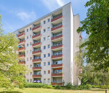 Eine Singlewohnung zu Weihnachten - Foto 1