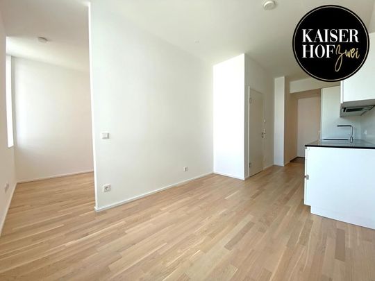 KAISERHOF 2 | Ruhige 1,5 Zimmer-City-Wohnung mit Küche in Bestlage - ab sofort zu mieten - Photo 1