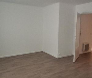 Location Appartement à ST LATTIER - Photo 3