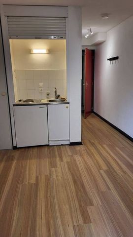 Location Appartement 1 pièce 17m² ANNECY 74000 - Photo 2