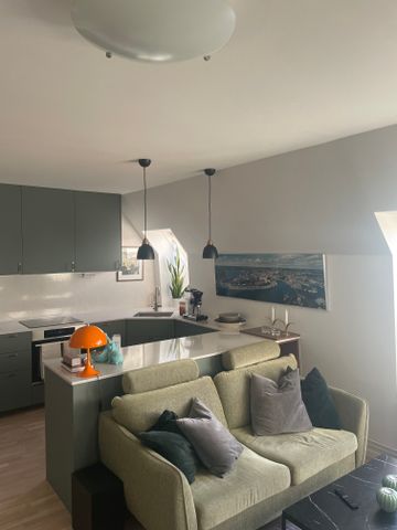 Hornsgatan, Stockholm - Photo 3