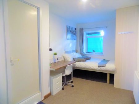 Room in a Shared House, Thimbler Road, CV4 - Photo 4