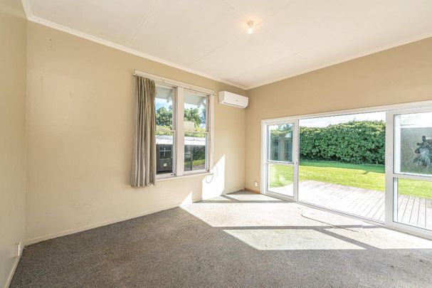 Sunny Front Unit with Private Section - Photo 1