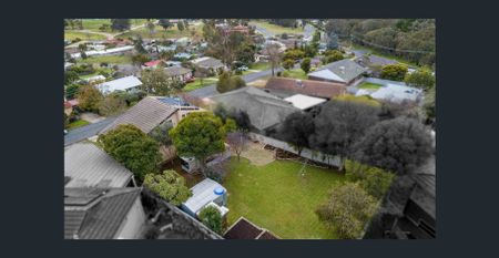 Peaceful Court Location! - Photo 4