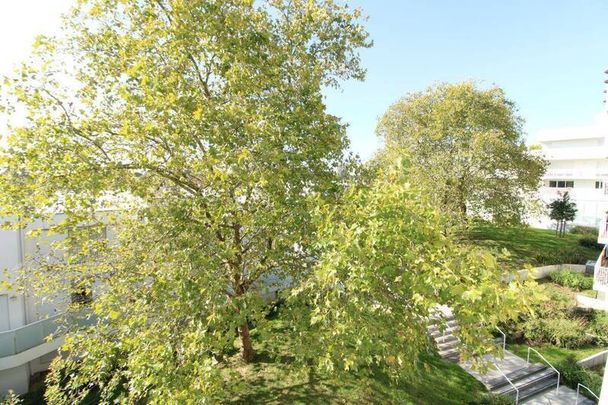 Appartement 1 pièce - - Photo 1