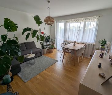3 Zimmer, 60 m², EG - Foto 2