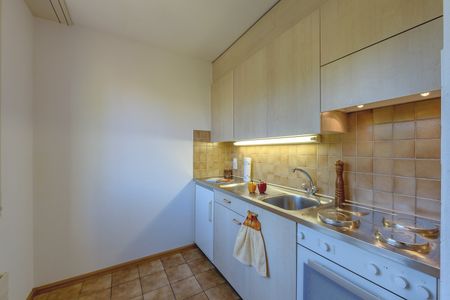 "Wohnen im stadtnahen Birsfelden" - Photo 4