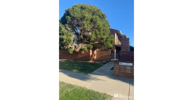 ALL YOU COULD ASK FOR !!! - Photo 1