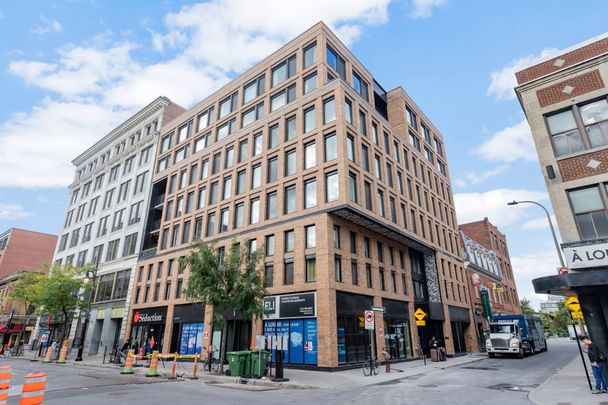 1406 Rue Ste Élisabeth, Montréal (Ville-Marie), QC H2C - Photo 1