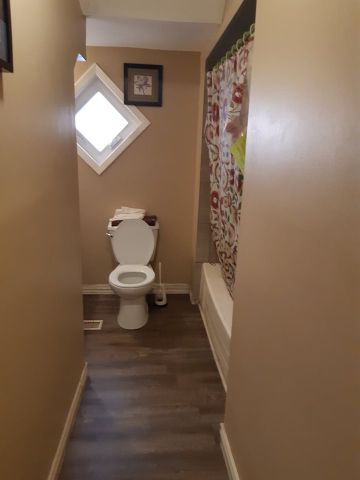 81 Malborough Room for Rent - Photo 5