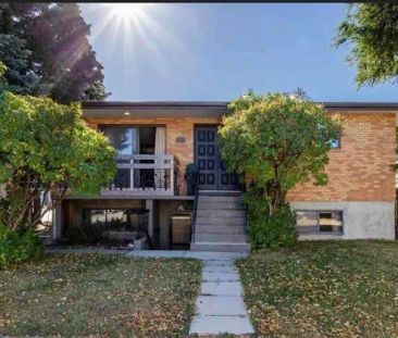 Cozy 1 Bedroom unit close to DT, SAIT and BVC. 1 bus to airport | C... - Photo 1