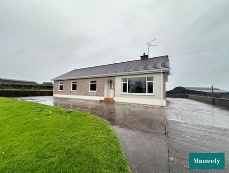 98 Ballygittle Road - Photo 4