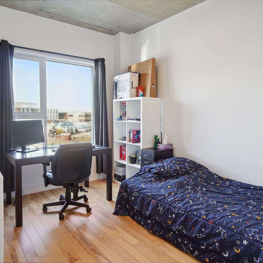 Condo for rent, Montréal (Rosemont/La Petite-Patrie) - Photo 1
