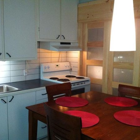 4 1/2 - Montréal (Hochelaga / Maisonneuve) - 1 200 $/mois - Photo 4