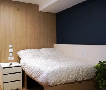 Luxury Studio - Photo 4