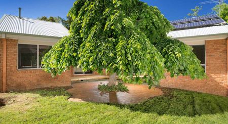 Cozy Home In A Sought After Location - Photo 2