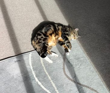 Brunswick East - Photo 6