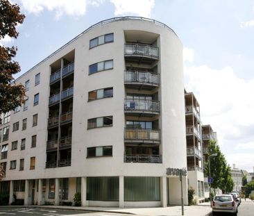 1 bedroom penthouse to rent - Photo 6