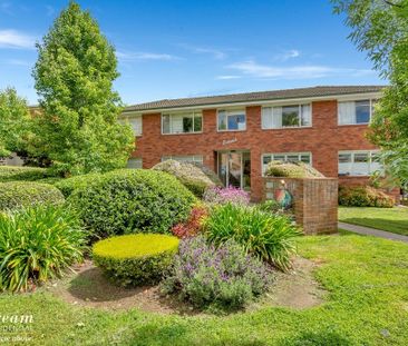 5/4 Nuyts Street, Red Hill ACT 2603 - House For Rent | Domain - Photo 5