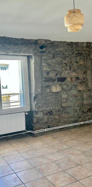 Location Appartement 3 pièces 50m² ST ETIENNE 42000 - Photo 1