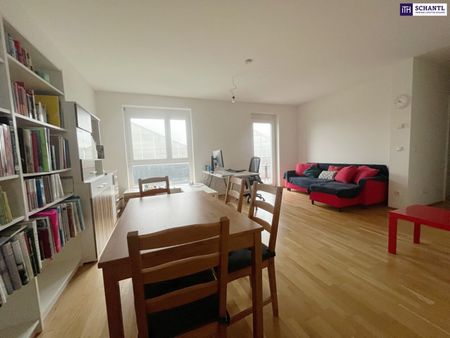 HELLE GERÄUMGE 2-Zimmer WOHNUNG in TOP LAGE mit tollem SÜD-BALKON! Ab sofort verfügbar! - Photo 2