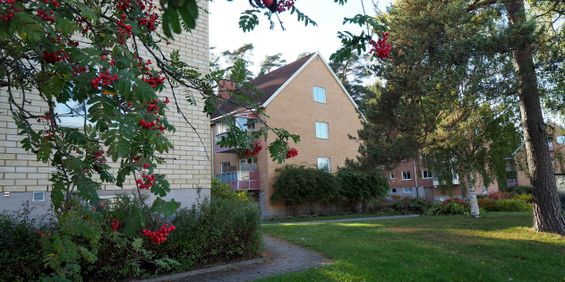 Åsgatan 34 - Foto 3