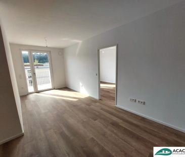 erste eigene Wohnung - Ihr Wohn(t)raum im Tullnerfeld - großzügige ... - Foto 4