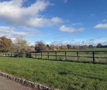 4 bedroom semi-detached bungalow to rent - Photo 3