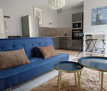 RARE - Charmant T2 meublé avec grande terrasse ? Vieux Tours - Photo 3