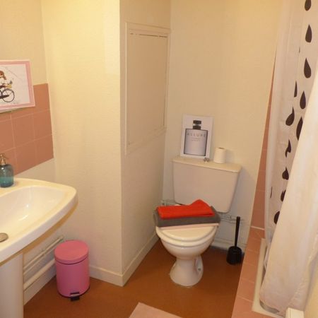 Location Appartement 1 pièce 17m² GRENOBLE 38000 - Photo 4