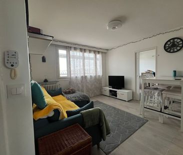 Appartement à louer 3 pièces • 45,45 m2 Arcueil - Photo 3