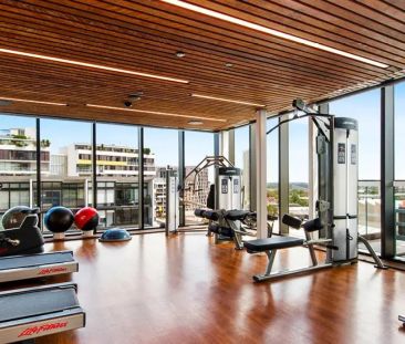 20 O'Dea Avenue, Waterloo NSW 2017 - Photo 6