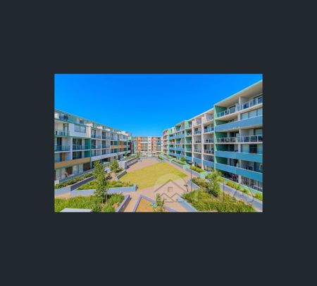 1207/42-44 Pemberton Street, Botany, NSW 2019 - Photo 4