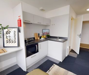 Bronze Studio Plus - Photo 6