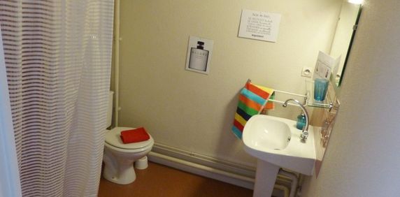 Location Appartement 1 pièce 17m² GRENOBLE 38000 - Photo 2