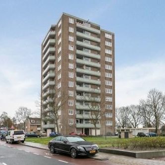 P.C. Boutensstraat 0ong, 2025 Haarlem, Nederland - Photo 2