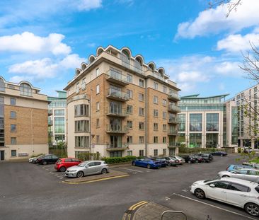 THE LINDEN, RIVERSDALE, DUNDRUM, DUBLIN 16, D16 XT65 - Photo 4