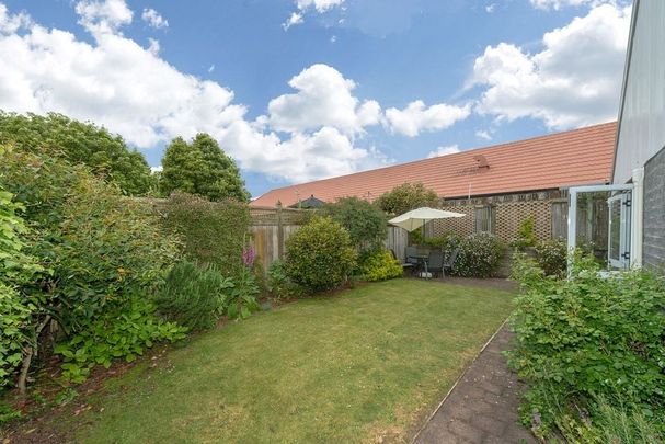 Sunny, Private Rental in Hamilton East - Photo 1