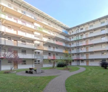 Garten-Ruhe Oase nahe KUK - Foto 2