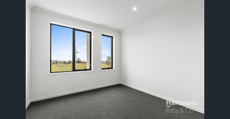 Brand New Delight! - Photo 3