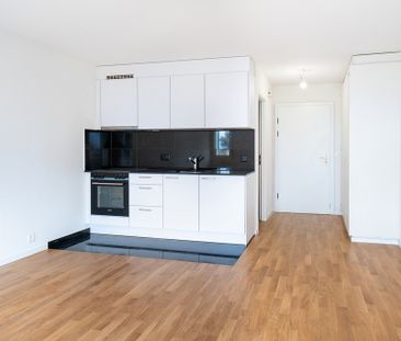 Superbe studio rénové à St Sulpice au bord du lac ! - Foto 4