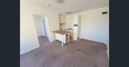 Leafy Richmond Hill Location - Photo 2